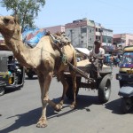Rua de Jaipur, Índia