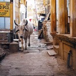 Ruela de Jaisalmer, Rajastão, Índia