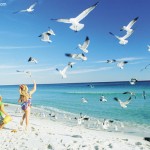 Navarre Beach, Flórida