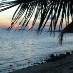 Phi-Phi Island, o paraíso tropical no sul da Tailândia