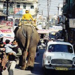 O trânsito confuso de Udaipur, Índia