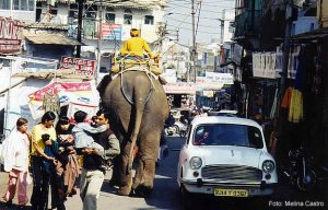 O trânsito confuso de Udaipur, Índia