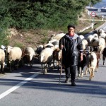 Portugal, um país relativamente barato. Pastor de ovelhas, Serra da Estrela