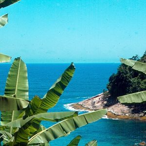 Praia em Ubatuba, SP