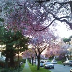 Primavera em Vancouver, Canadá