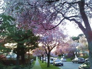 Primavera em Vancouver, Canadá