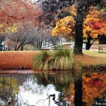Queenstown, South Island