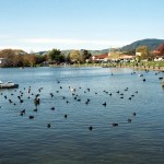Rotorua, North Island, Nova Zelândia
