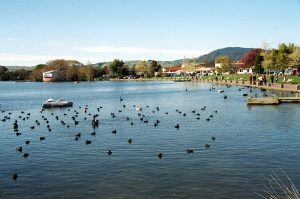 Rotorua, North Island, Nova Zelândia