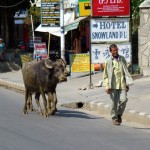 Rua de Pokhara, Nepal