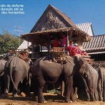 Safari de elefante pelas montanhas do norte da Tailândia