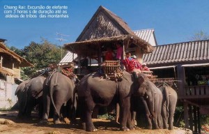 Safari de elefante pelas montanhas do norte da Tailândia