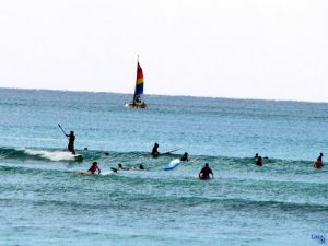 Surfistas, Havaí