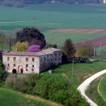 Estrada rural na Toscana, Itália