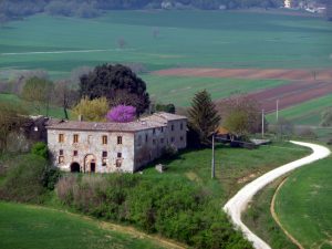 Estrada rural na Toscana, Itália