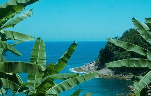 Ubatuba, litoral norte de São Paulo