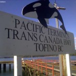 Vancouver, Terminal do Pacífico