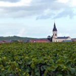 Igreja no meio de vinhedos, Champagne, França