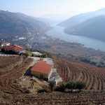 Plantações de vinhas às margens do Rio Douro, Portugal