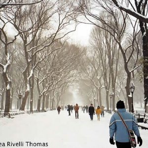 Central Park no inverno, em Manhattan, New York, foto Andreia Thomas