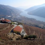 Douro, região vinícola portuguesa