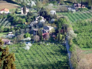 Toscana, Itália, vinhedos