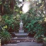 Orquidário de Santos SP