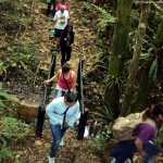 Trilha nas cercanias de São Luiz do Paraitinga, SP