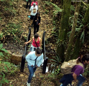 Trilha nas cercanias de São Luiz do Paraitinga, SP