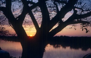Mato Grosso, Pantanal