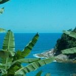 Vista da Rio-Santos perto de Ubatuba