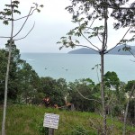 Vista do litoral, Ubatuba