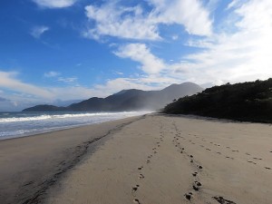 Praia do Puruba, Ubatuba
