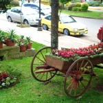 Pracinha florida em Gramado, na primavera