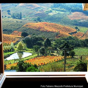 Vale dos Vinhedos Janela jpg