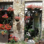 Bruges florida na primavera