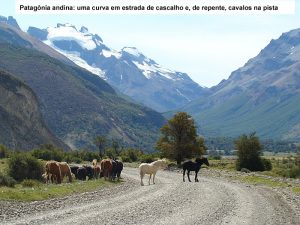 Cavalos na estrada em El Chaltén, Argentina