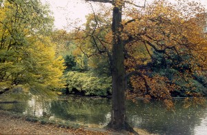 Paris, os parques no outono