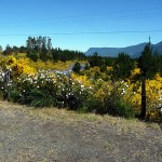 Pucón, Chile, na primavera