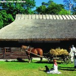Região rural na Estônia
