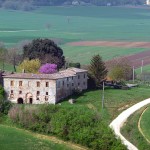 TEstradinha rural na Toscana