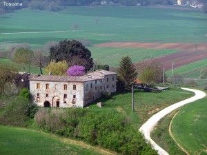 TEstradinha rural na Toscana