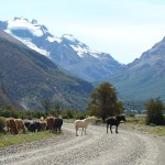 El Chaltén, Patagônia, Argentina