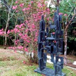 Florada no museu Felícia Leiner