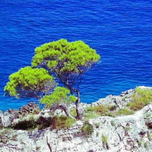 Litoral da Puglia
