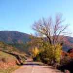 Córsega - de Cavi a St-Laurent, o outono nas montanhas