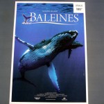 Cité des Sciences em Paris , document´rio sobre as baleias