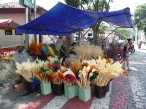 Flores secas, Embú das Artes