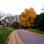 Parques de Paris no outono