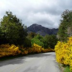 Argentina, Patagônia, estrada